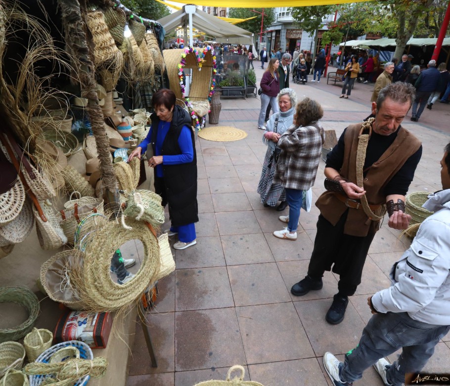 Puestos de artesania. Miranda Jacobea