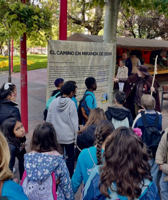 Colegios. Miranda Jacobea